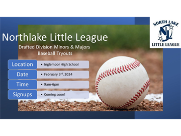 Little League Baseball® Divisions