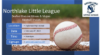Drafted Divisions Minors & Majors Baseball Tryouts